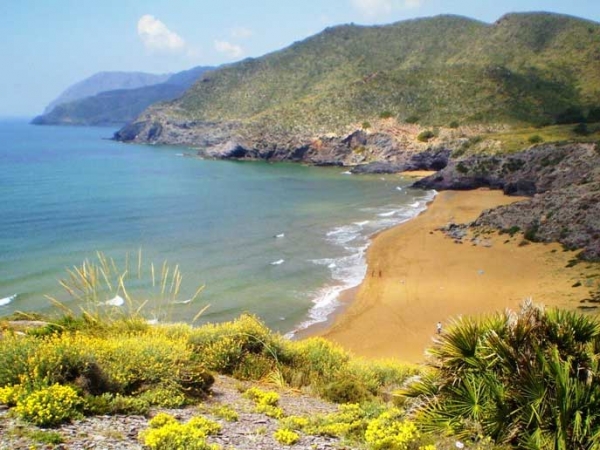 external image murcia-3536-H-600.jpg