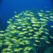noumea | Noumea