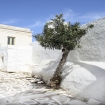 paros | Paros