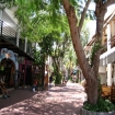 playa del carmen | Playa del Carmen | Riviera Maya