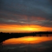 llegar a | Polonia