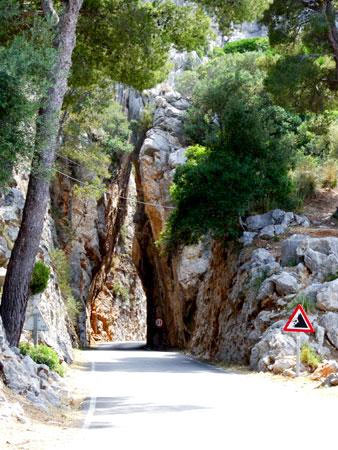 Excursion por la Sierra de Tramuntana