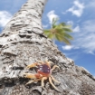 punta cana | Punta Cana