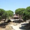 Punta Umbr�a Punta Umbr�a, Huelva, Costa de la Luz, Andaluc�a