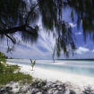 Foto rarotonga | Rarotonga | Nueva Zelanda
