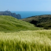 Foto vila do bispo | Sagres | Portugal
