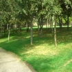 Imagen bonaval | Santiago de Compostela | Turismo Rural