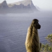 África do Sul Africa do Sul
