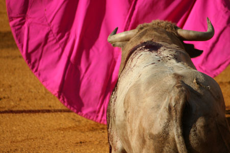 La Corrida, Plaza de Toros, Tarifa