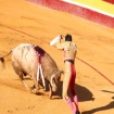 La Corrida, Plaza de Toros, Tarifa