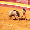 La Corrida, Plaza de Toros, Tarifa
