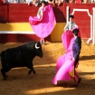 La Corrida, Plaza de Toros, Tarifa