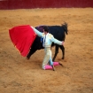 El Fandi, La Corrida, Plaza de Toros, Tarifa