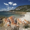 Imagem tasmania | Tasmania