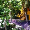 Imagem casa de ferias | Tenerife