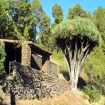 Imagem informações | Tenerife | Ilhas Canárias