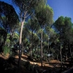 Foto caminhos | Vejer de la Frontera