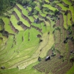 Foto vietname | Vietname