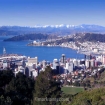 | Wellington