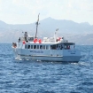 Whale watching