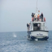 Whale watching en el Estrecho