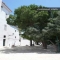 T1 em Alfama