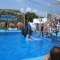 Marineland Mallorca