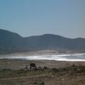 playa Moulay						