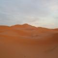 Desierto						