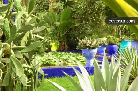 jardin-majorelle-1-1-gallery