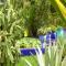 Jard�n Majorelle