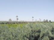 Marrakech sitios