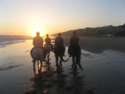 Foto Mazagon | Rutas a caballo