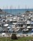 Puerto deportivo Oropesa del Mar