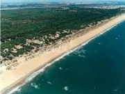 Foto Punta Umbr�a | Playa de La Mata negra