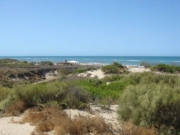 Foto Rota | Punta Candor
