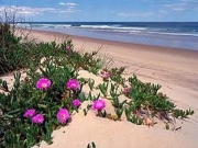 Foto San Fernando | Playa de Camposoto