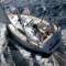 Velero Copy Cat - Beneteau Oceanis 40