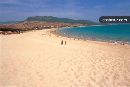 bolonia-1-1-gallery						