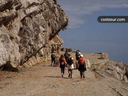 girasol-adventure-more-1-4-gallery						