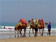 Foto Tarifa | Asilah