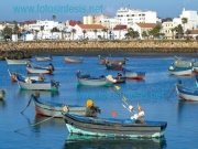 Imagen Tarifa | Asilah