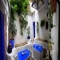 Caf� Azul