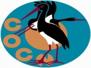 Foto aves | Tarifa | C�diz Provincia