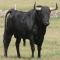 Quinta El Toro