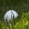 Golf Melia Sancti Petri