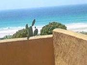 Imagem Tarifa | Apartamento Los Lances