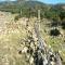 Terreno en Tarifa, con 120m2 de ruina (tc0014)
