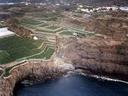 Foto Tenerife | Santo Domingo