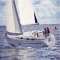 Bavaria 37: Tamajito 2006